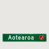 Road Trip Sign - Aotearoa - Moana Road