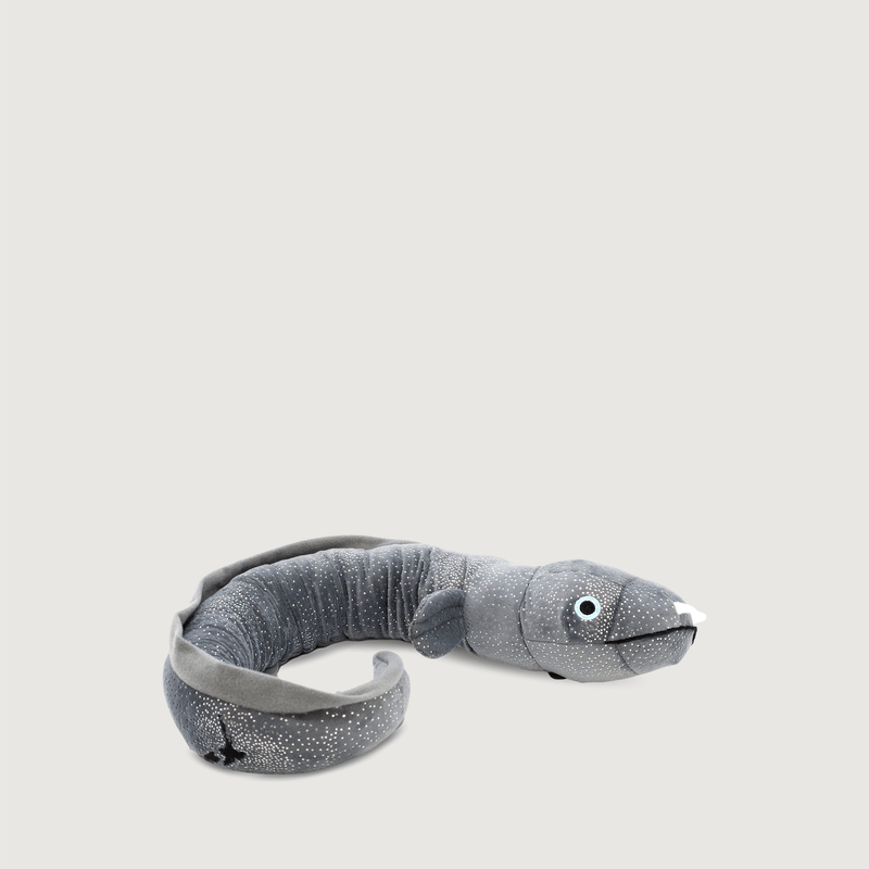 9137 Ellie the Longfin Eel 02