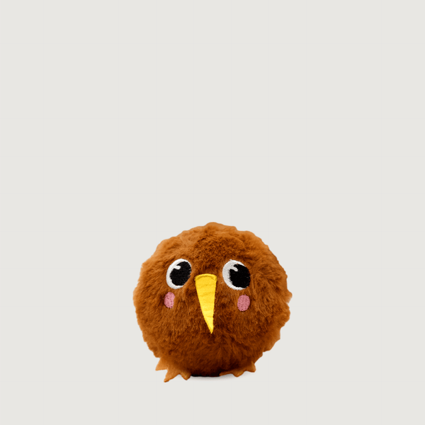 BouNZy Ball