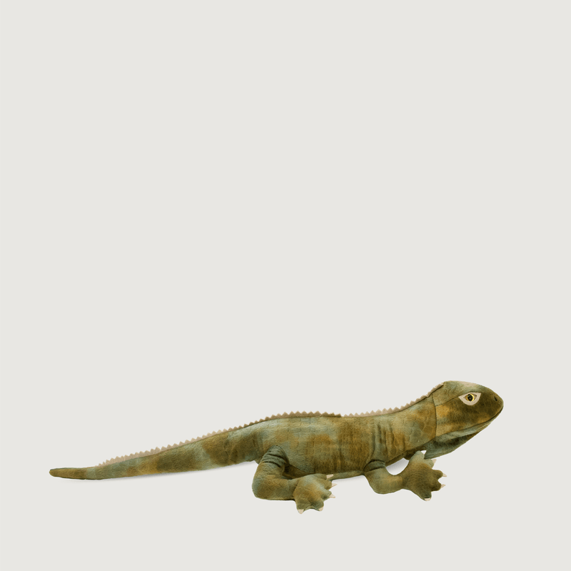 9180 Trevor the Tuatara