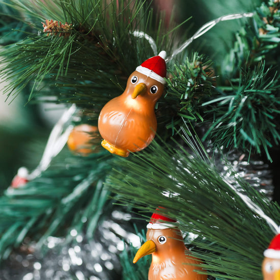 Moana Road - Kiwi Christmas Lights