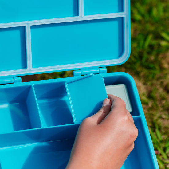 Moana Road - Te Reo Māori Rainbow Lunch Box