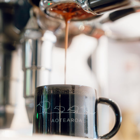 Moana Road - Kiwi Ceramic Espresso Mug - Black