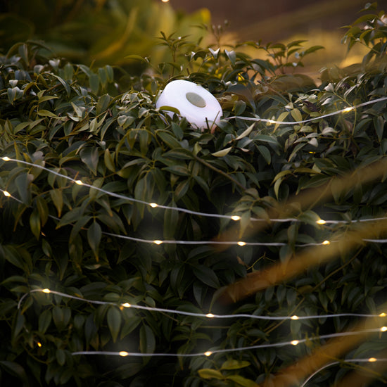 Moana Road - Solar Powered Camping Lights