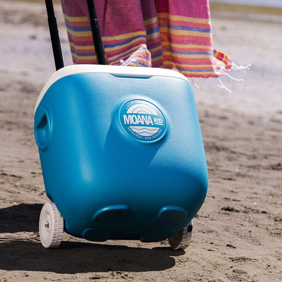 Moana Road - Retro Chill Box