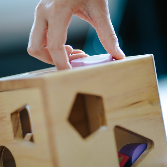 Shape Sorter by Moana Road
