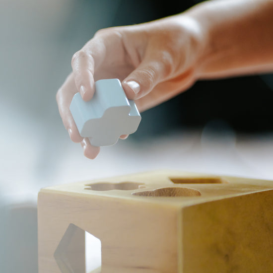 Shape Sorter by Moana Road