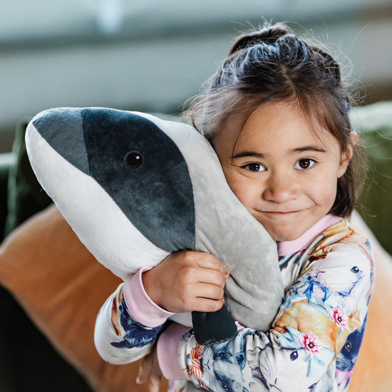 Moana Road - Hugo The Hector's Dolphin