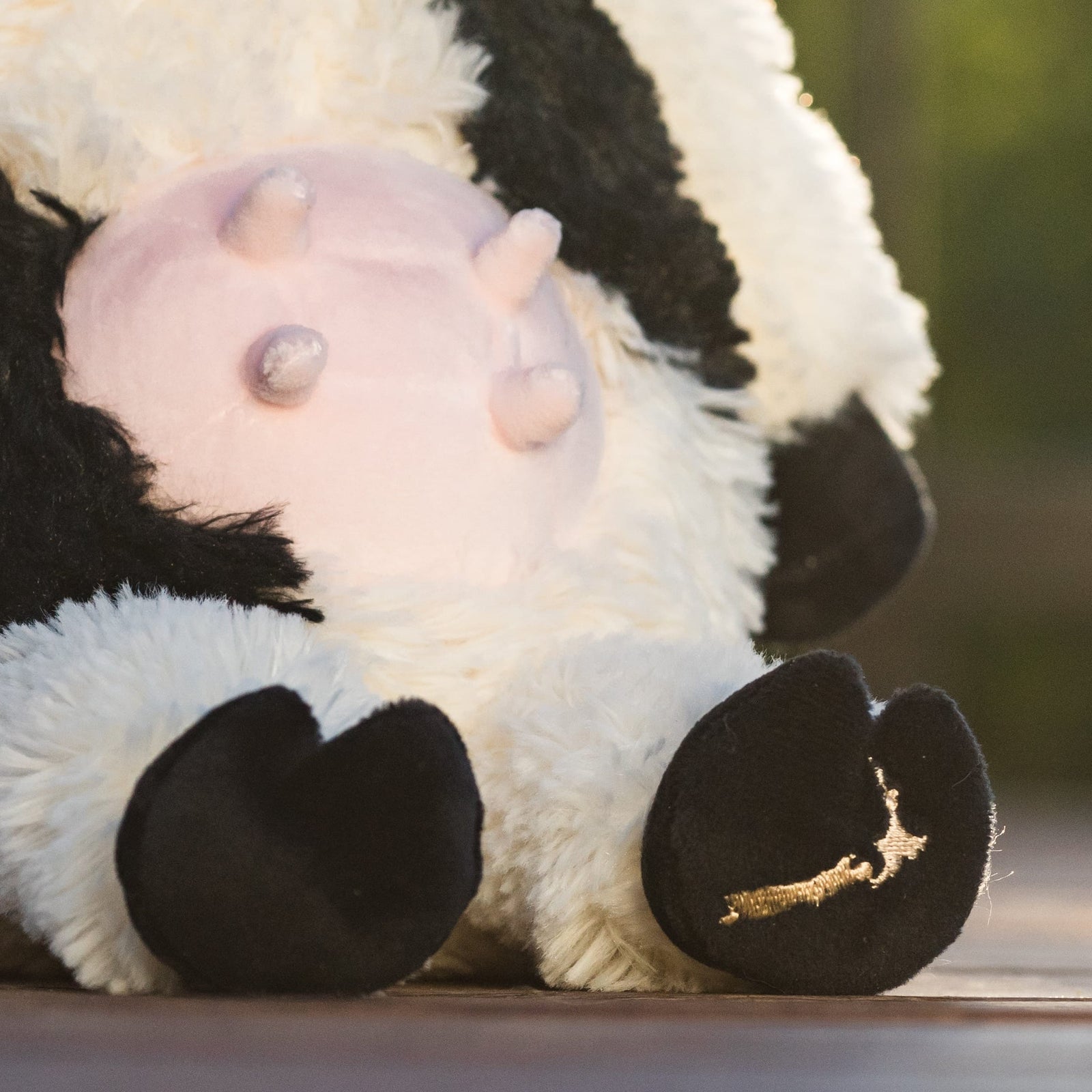 Daisy the Dairy Cow – Moana Road