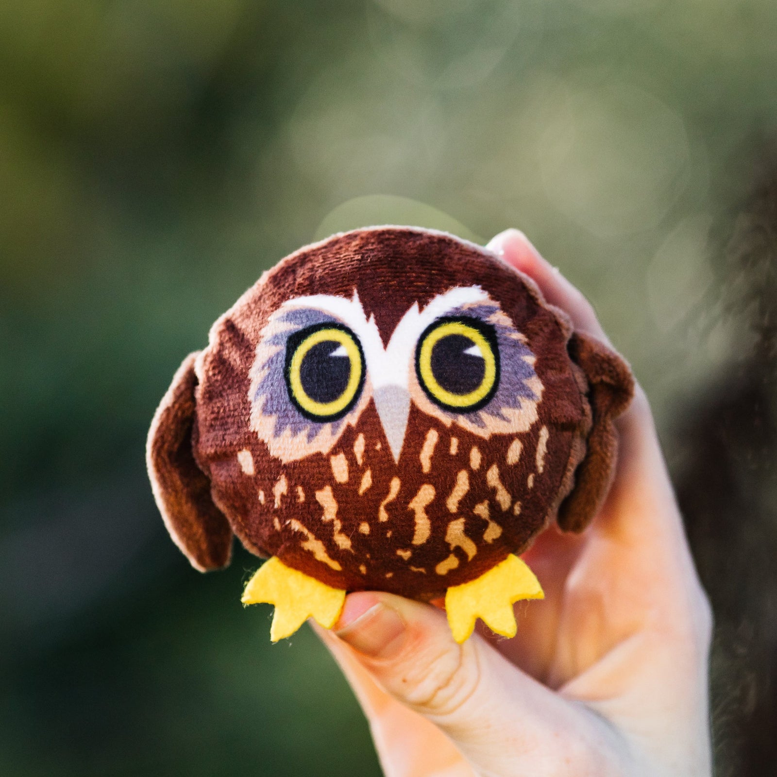 BouNZy Ball – Moana Road