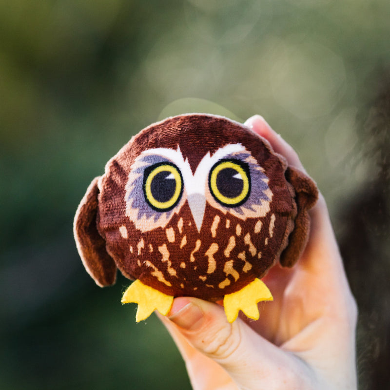 BouNZy Ball – Moana Road