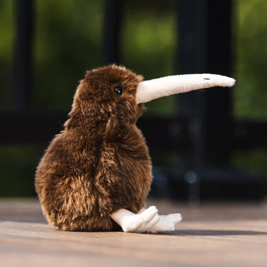 Moana Road - Barry the Brown Kiwi