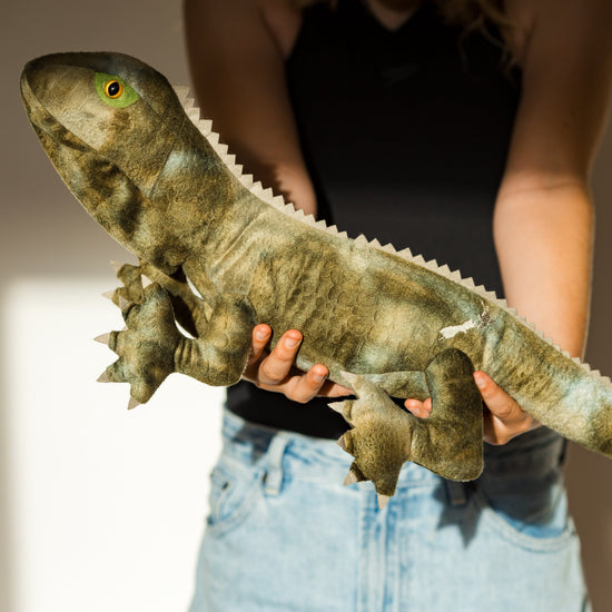Moana Road - Trevor the Tuatara