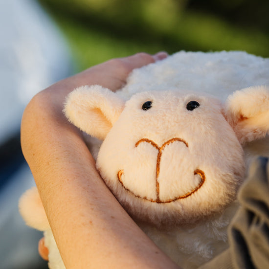 Moana Road - Inflatable Ball Sheep